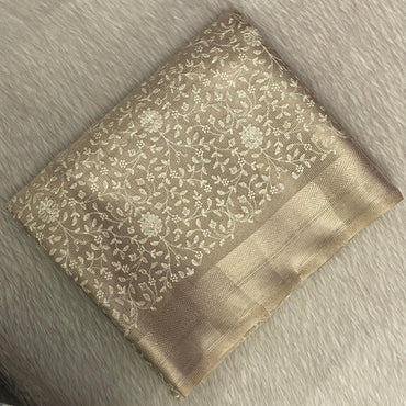 Tissue Organza Saree with Floral Embroidary