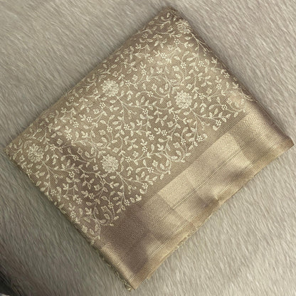 Tissue Organza Saree with Floral Embroidary
