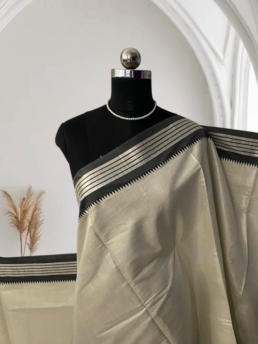 Silver Tissue Saree with Grey Contrast Border