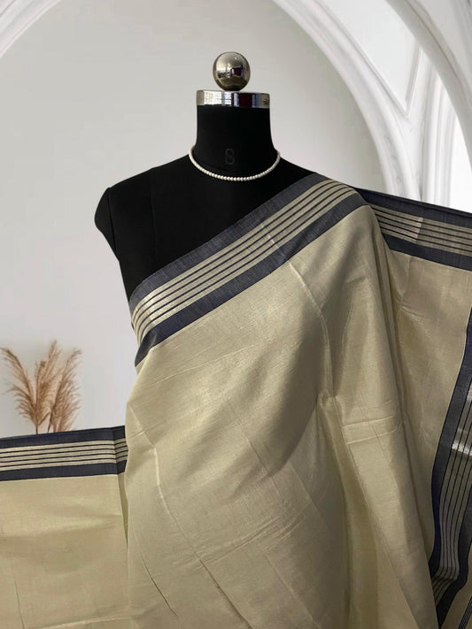 Silver Tissue Saree with Blue Contrast Border